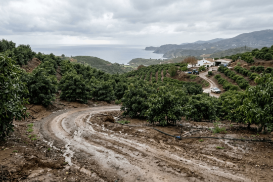 Explotación tropical andaluza con camino rural e infraestructura de riego tras un episodio de lluvias intensas